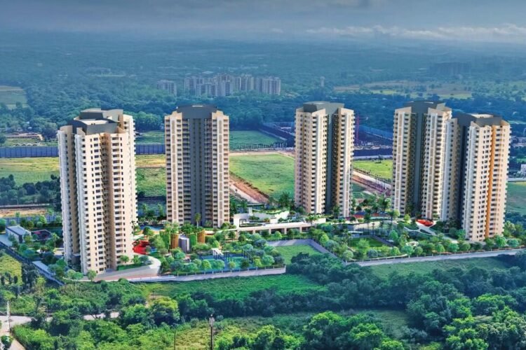 vfbohhb_1764831222_681494687_optOrig